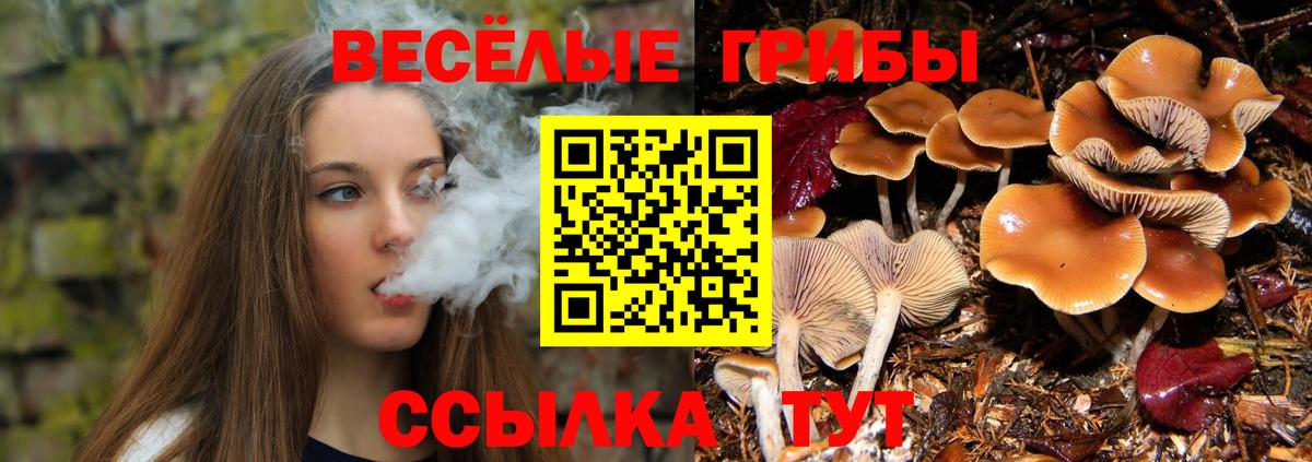 Псилоцибиновые грибы Psilocybine cubensis  Вход с VPN  Заволжье 